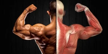 Queima de Gordura e Ganho Muscular - Men's Health