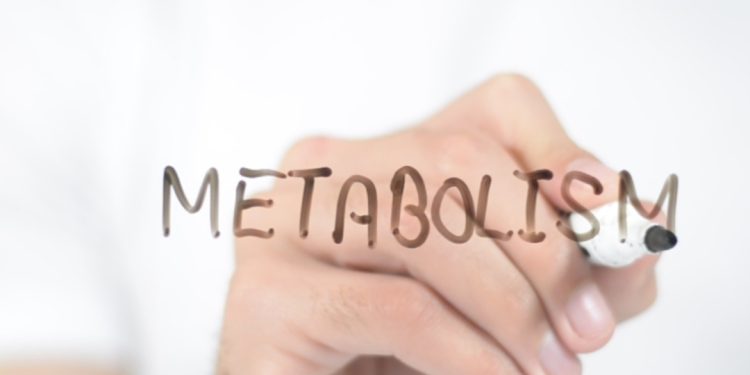 Metabolismo - Men's Health Brasil