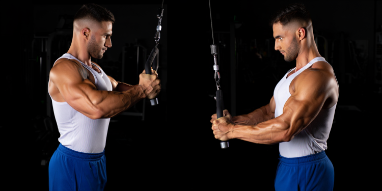 Triceps Pulley Modelo Fernando T Major Model - Men's Health