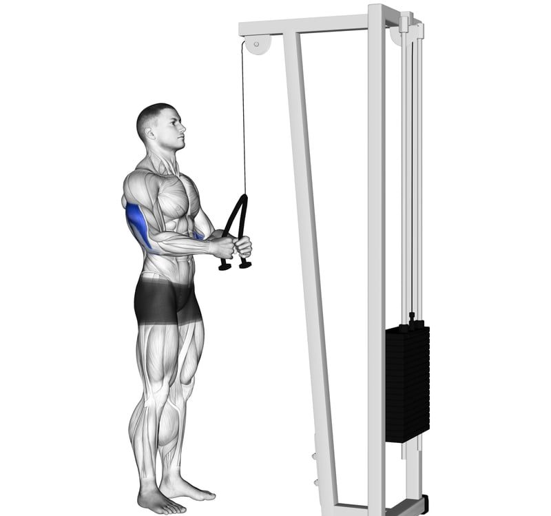 Triceps Pulley - Men's Health